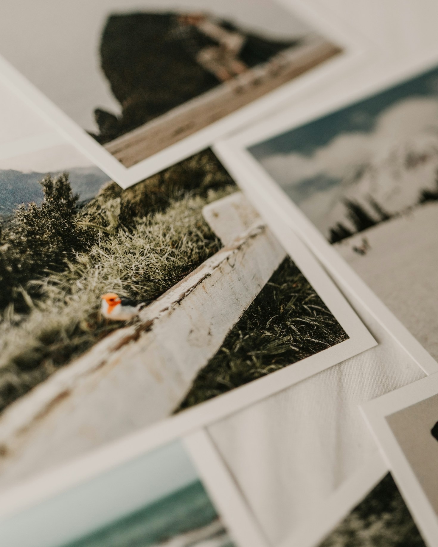 Our Favorite Travel Adventures From Last Year
